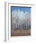 Cobalt Birches I-Tim OToole-Framed Art Print