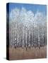 Cobalt Birches I-Tim OToole-Stretched Canvas