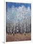 Cobalt Birches II-Tim OToole-Framed Art Print