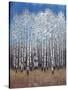 Cobalt Birches II-Tim OToole-Stretched Canvas