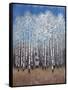 Cobalt Birches II-Tim OToole-Framed Stretched Canvas