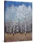 Cobalt Birches II-Tim OToole-Stretched Canvas