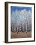 Cobalt Birches II-Tim OToole-Framed Art Print