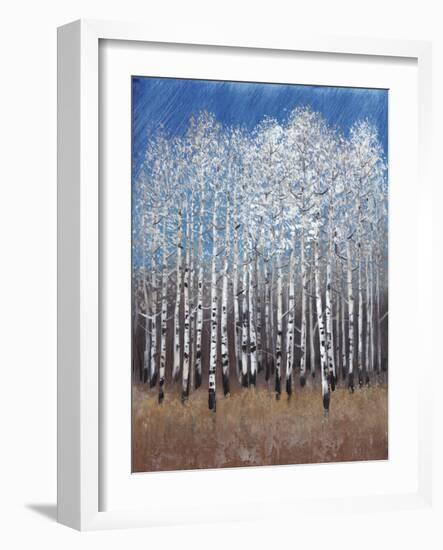 Cobalt Birches II-Tim OToole-Framed Art Print