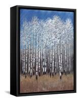 Cobalt Birches II-Tim OToole-Framed Stretched Canvas