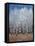 Cobalt Birches II-Tim OToole-Framed Stretched Canvas