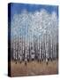 Cobalt Birches II-Tim OToole-Stretched Canvas