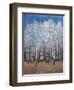 Cobalt Birches II-Tim OToole-Framed Art Print