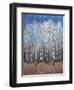 Cobalt Birches II-Tim OToole-Framed Art Print