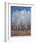 Cobalt Birches II-Tim OToole-Framed Art Print