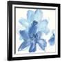 Cobalt Clematis I-Chris Paschke-Framed Art Print