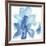 Cobalt Clematis I-Chris Paschke-Framed Art Print