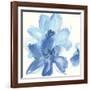 Cobalt Clematis I-Chris Paschke-Framed Art Print