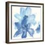 Cobalt Clematis I-Chris Paschke-Framed Art Print