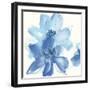 Cobalt Clematis I-Chris Paschke-Framed Art Print