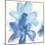 Cobalt Clematis I-Chris Paschke-Mounted Art Print