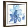 Cobalt Clematis I-Chris Paschke-Framed Art Print