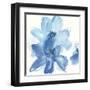 Cobalt Clematis I-Chris Paschke-Framed Art Print