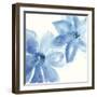 Cobalt Clematis II-Chris Paschke-Framed Art Print