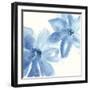 Cobalt Clematis II-Chris Paschke-Framed Art Print