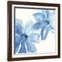 Cobalt Clematis II-Chris Paschke-Framed Art Print