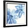 Cobalt Clematis II-Chris Paschke-Framed Art Print