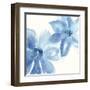 Cobalt Clematis II-Chris Paschke-Framed Art Print