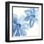 Cobalt Clematis II-Chris Paschke-Framed Art Print