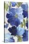 Cobalt Poppies II-Asia Jensen-Stretched Canvas