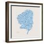 Cobalt Sea Fan-Albert Koetsier-Framed Photographic Print