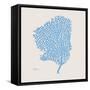 Cobalt Sea Fan-Albert Koetsier-Framed Stretched Canvas