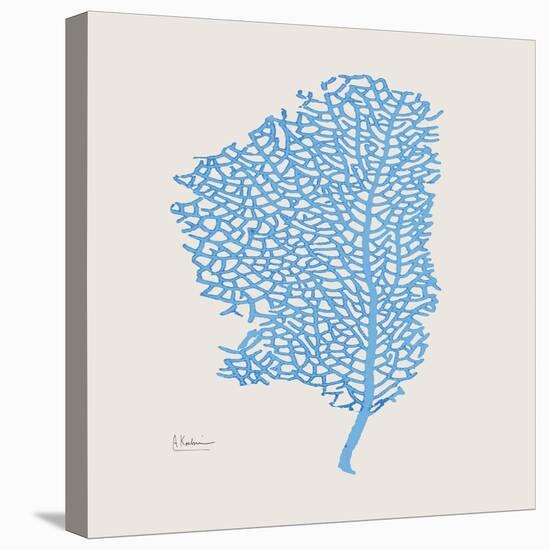 Cobalt Sea Fan-Albert Koetsier-Stretched Canvas