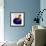 Cobalt-null-Framed Giclee Print displayed on a wall