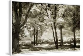 Cobb Island Channel I-Alan Hausenflock-Framed Photographic Print