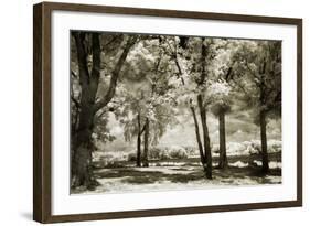 Cobb Island Channel I-Alan Hausenflock-Framed Photographic Print