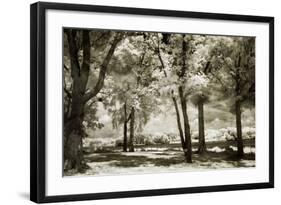 Cobb Island Channel I-Alan Hausenflock-Framed Photographic Print