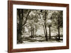 Cobb Island Channel I-Alan Hausenflock-Framed Photographic Print