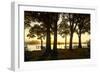 Cobb Island Sunrise III-Alan Hausenflock-Framed Photographic Print