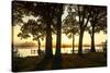 Cobb Island Sunrise III-Alan Hausenflock-Stretched Canvas