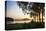 Cobb Island Sunrise IV-Alan Hausenflock-Stretched Canvas