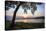 Cobb Island Sunset I-Alan Hausenflock-Stretched Canvas