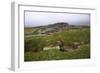 Cobbie Rows Castle, c1145, Isle of Wyre, Orkney, Scotland, 20th century-CM Dixon-Framed Giclee Print