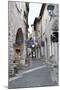 Cobbled Alleyway, Saint-Paul-De-Vence, Provence-Alpes-Cote D'Azur, Provence, France, Europe-Stuart Black-Mounted Photographic Print