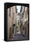 Cobbled Alleyway, Saint-Paul-De-Vence, Provence-Alpes-Cote D'Azur, Provence, France, Europe-Stuart Black-Framed Stretched Canvas