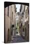 Cobbled Alleyway, Saint-Paul-De-Vence, Provence-Alpes-Cote D'Azur, Provence, France, Europe-Stuart Black-Stretched Canvas