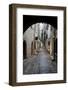 Cobbled Alleyway, Saint-Paul-De-Vence, Provence-Alpes-Cote D'Azur, Provence, France, Europe-Stuart Black-Framed Photographic Print