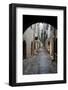 Cobbled Alleyway, Saint-Paul-De-Vence, Provence-Alpes-Cote D'Azur, Provence, France, Europe-Stuart Black-Framed Photographic Print