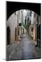 Cobbled Alleyway, Saint-Paul-De-Vence, Provence-Alpes-Cote D'Azur, Provence, France, Europe-Stuart Black-Mounted Photographic Print