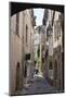 Cobbled Alleyway, Saint-Paul-De-Vence, Provence-Alpes-Cote D'Azur, Provence, France, Europe-Stuart Black-Mounted Photographic Print