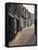 Cobbled Side Street in Otley, Yorkshire, England, United Kingdom, Europe-Nigel Blythe-Framed Stretched Canvas